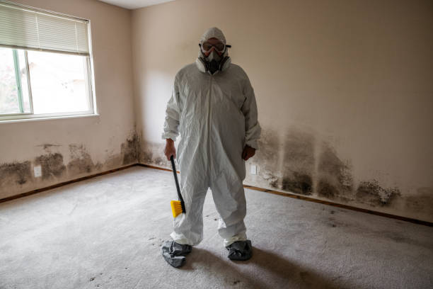 Professional Mold Removal in Oberlin, LA